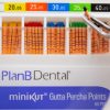 MiniKUT Rotary NiTi Endodontic files by Dr Steve Buchanan