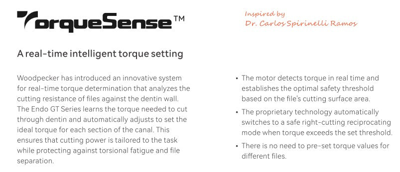 Endo GT series (Pre-order)