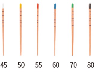 Gutta Percha Points