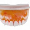 3D Training teeth