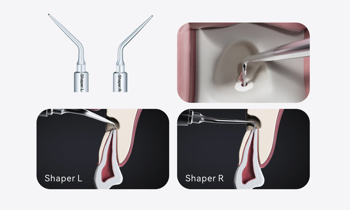 Prof. Zaher Altaqi Piezo Endo Surgery Kit