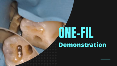 One Fil Bioceramic Root Canal Sealer